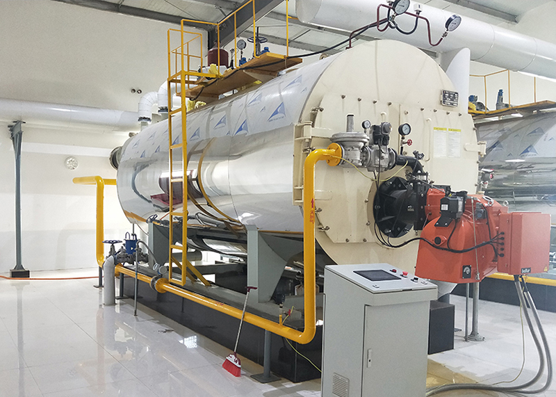 河南紅英農業科技4噸蒸汽鍋爐